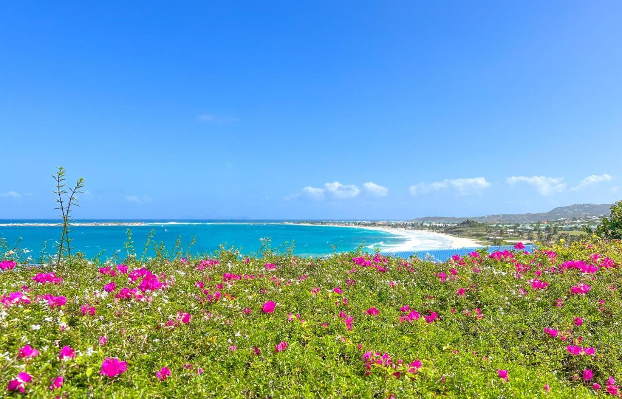 Apartamento Front Line Unit 520 Ft2 - 48 M2, On Second Floor, Stunning Ocean View Cul de Sac Exterior foto